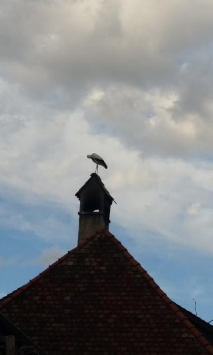 Gasthof zum Adler