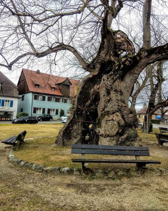 Museums Cafe Reichenau