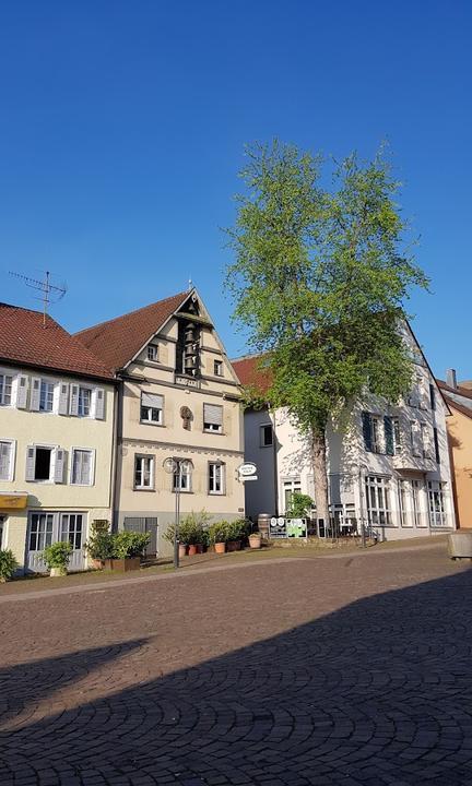 Grüner Baum